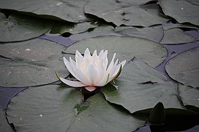 《坏蛋联盟2》首爆预告 原班人马爆笑回归